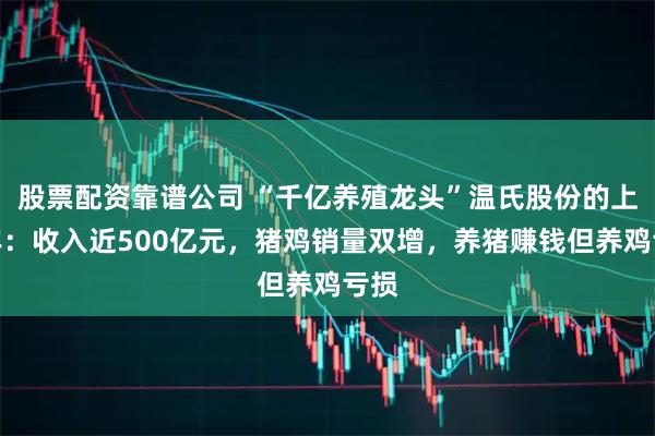 股票配资靠谱公司 “千亿养殖龙头”温氏股份的上半年：收入近500亿元，猪鸡销量双增，养猪赚钱但养鸡亏损