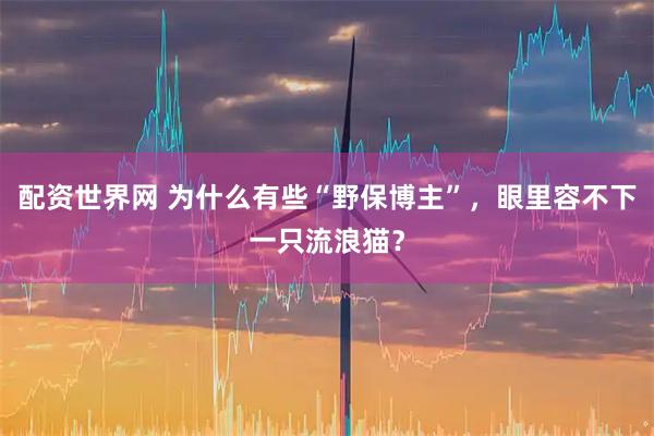 配资世界网 为什么有些“野保博主”，眼里容不下一只流浪猫？