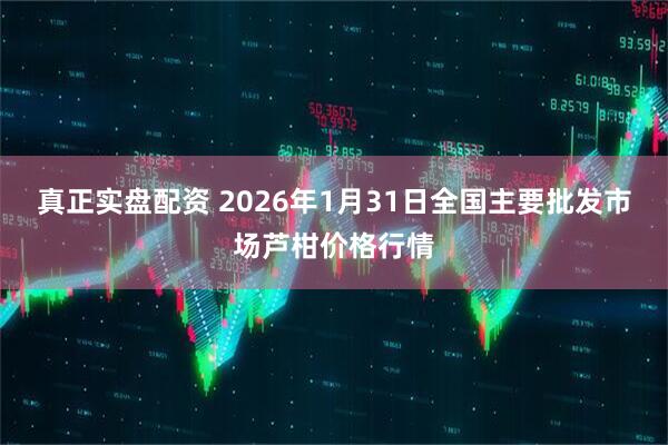 真正实盘配资 2026年1月31日全国主要批发市场芦柑价格行情