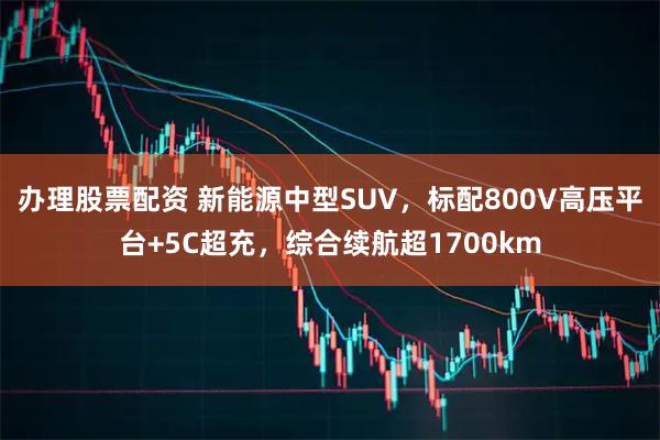 办理股票配资 新能源中型SUV,标配800V高压平台+5C超充,综合续航超1700km